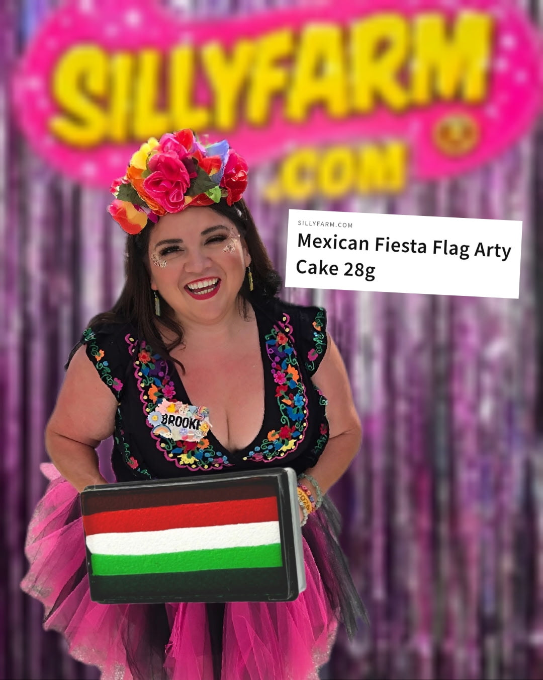 Mexican Fiesta Sillyfarm Arty Cake